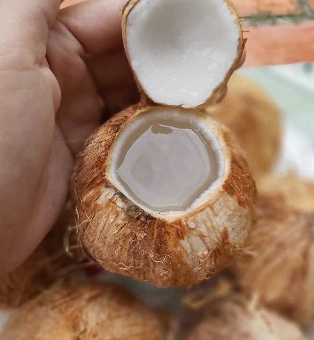 Ngày bán 5.000 quả dừa tí hon, hàng lạ gây sốt ngày nắng cháy - 2