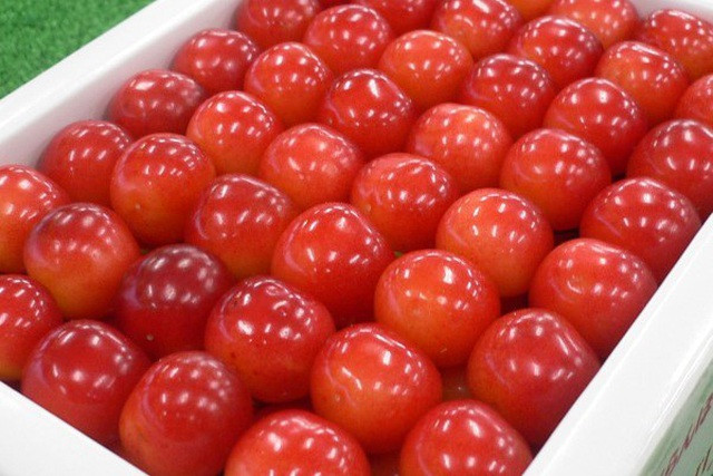 Cherry Nhật đắt kỷ lục, về Việt Nam giá 6,6 triệu đồng/kg - 3