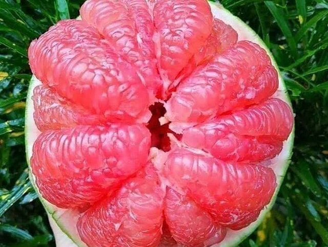 photo-1-15947793898191139529509