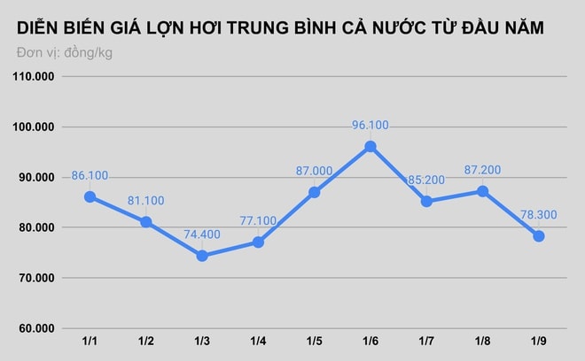 Giá lợn hơi giảm, thịt ở chợ vẫn ế - Ảnh 1.