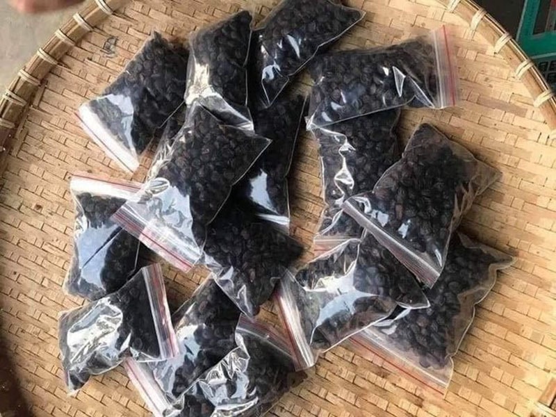 Hạt dổi rừng giá 2 triệu đồng/kg vẫn được khách săn lùng - Ảnh 2.