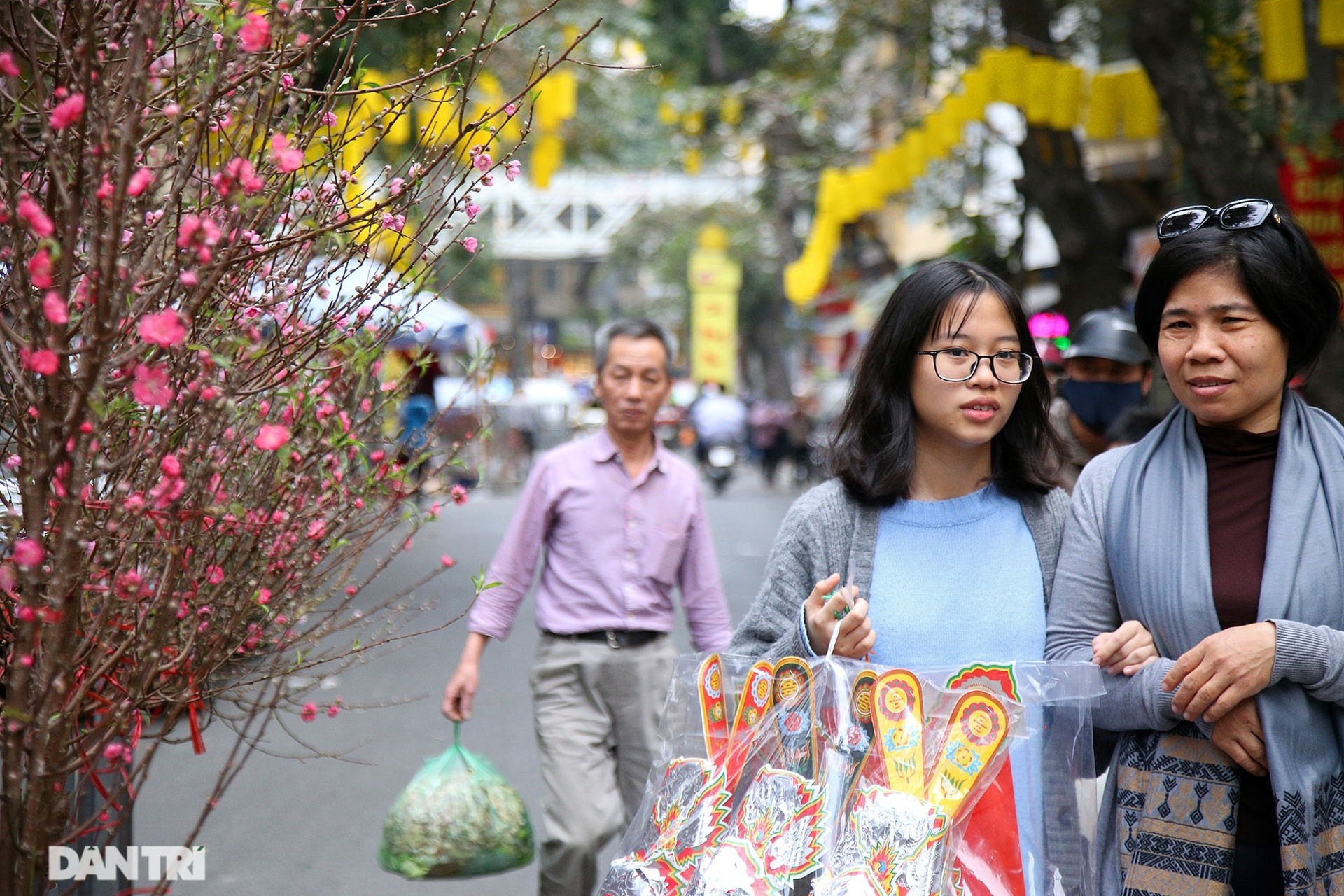 Chợ hoa Hàng Lược bắt đầu khoe sắc đón người dân sắm Tết - Ảnh 1.