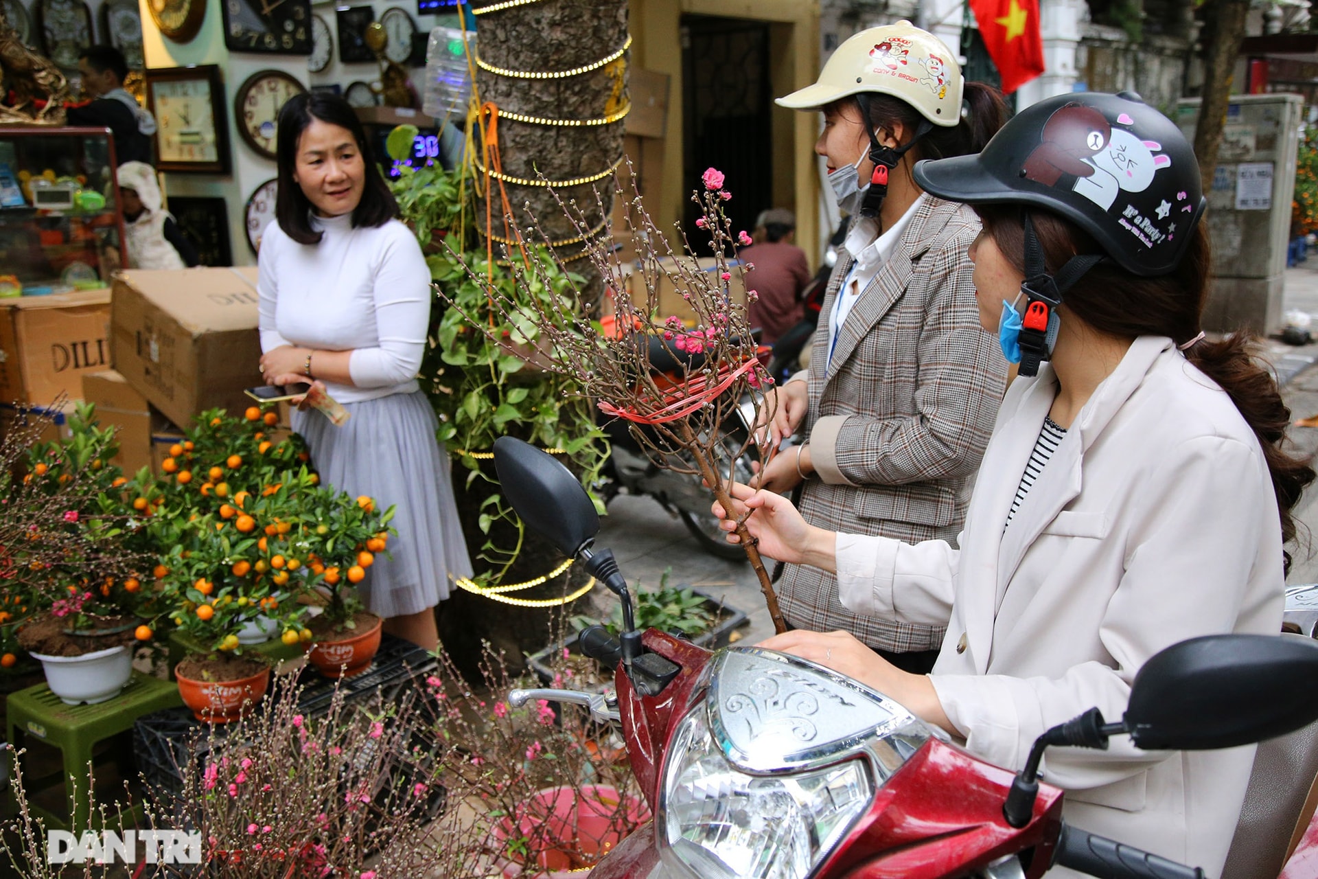 Chợ hoa Hàng Lược bắt đầu khoe sắc đón người dân sắm Tết - Ảnh 5.