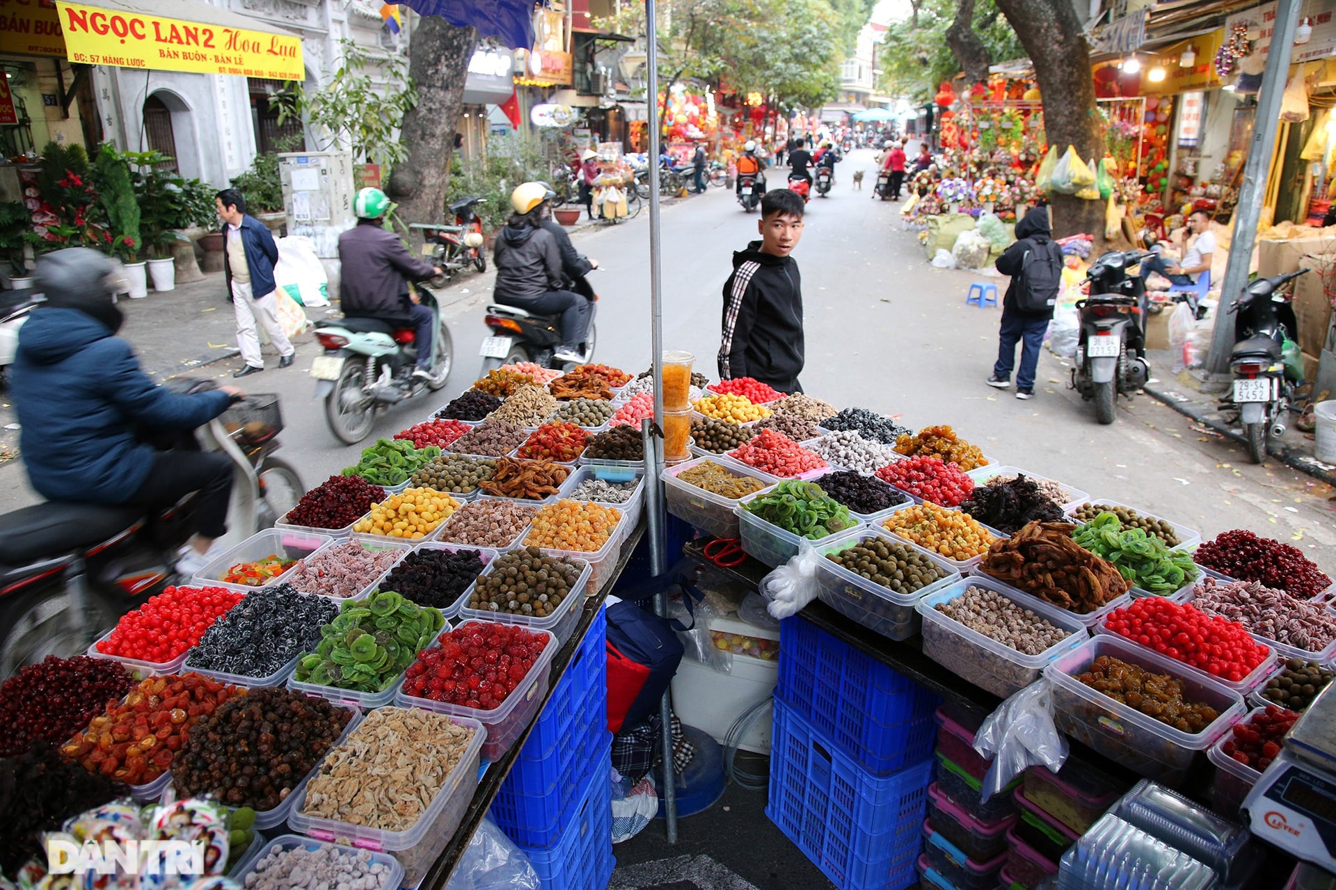 Chợ hoa Hàng Lược bắt đầu khoe sắc đón người dân sắm Tết - Ảnh 6.