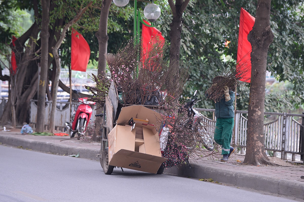 Sau tết, công nhân vệ sinh môi trường vất vả thu gom đào, quất bị vứt đầy đường - Ảnh 8.