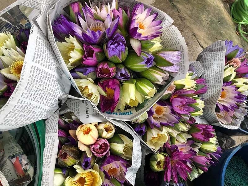 Chị em đua mốt chơi mới, hoa dại mọc hoang nay trở nên đắt đỏ - Ảnh 4. Chị em đua mốt chơi mới, hoa dại mọc hoang nay trở nên đắt đỏ - Ảnh 4.