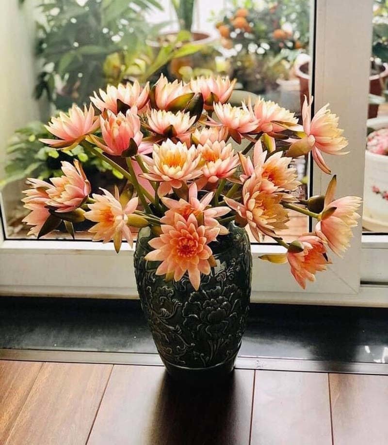 Chị em đua mốt chơi mới, hoa dại mọc hoang nay trở nên đắt đỏ - Ảnh 1. Chị em đua mốt chơi mới, hoa dại mọc hoang nay trở nên đắt đỏ - Ảnh 1.