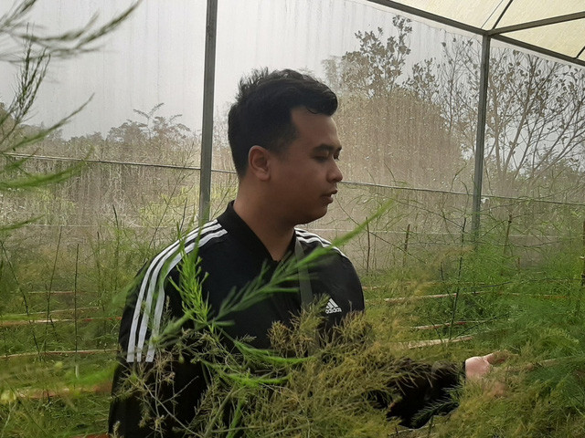 'Khu vườn của nắng' - mô hình trồng măng tây đem lại hiệu quả cao của chàng thanh niên Điện Biên - Ảnh 1.