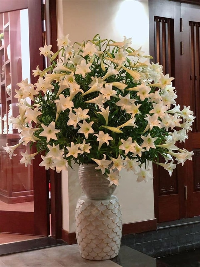 Hoa loa kèn đầu mùa vừa đắt vừa hiếm, chị em Hà Nội vẫn tới tấp lùng mua - Ảnh 3.