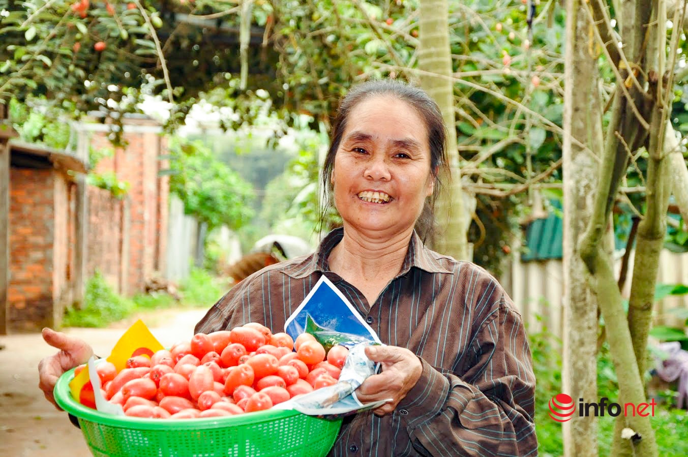 Trồng loại quả vừa chua vừa chát, người Hà Nội vẫn thu về trăm triệu đồng - Ảnh 1.