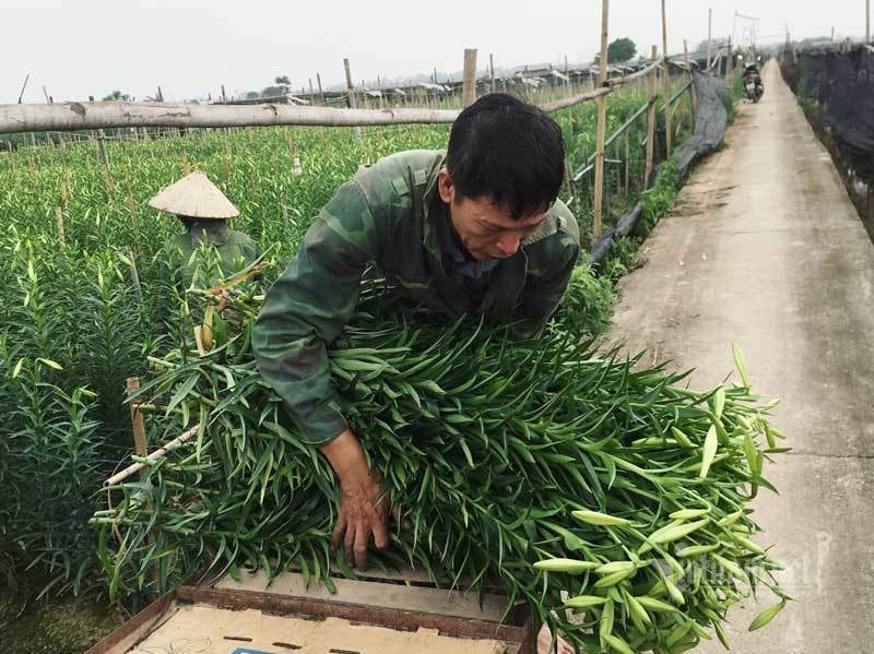 ‘Nữ hoàng tháng Tư’ nảy nở, ông chủ hối hả thu trăm triệu đồng - Ảnh 7.