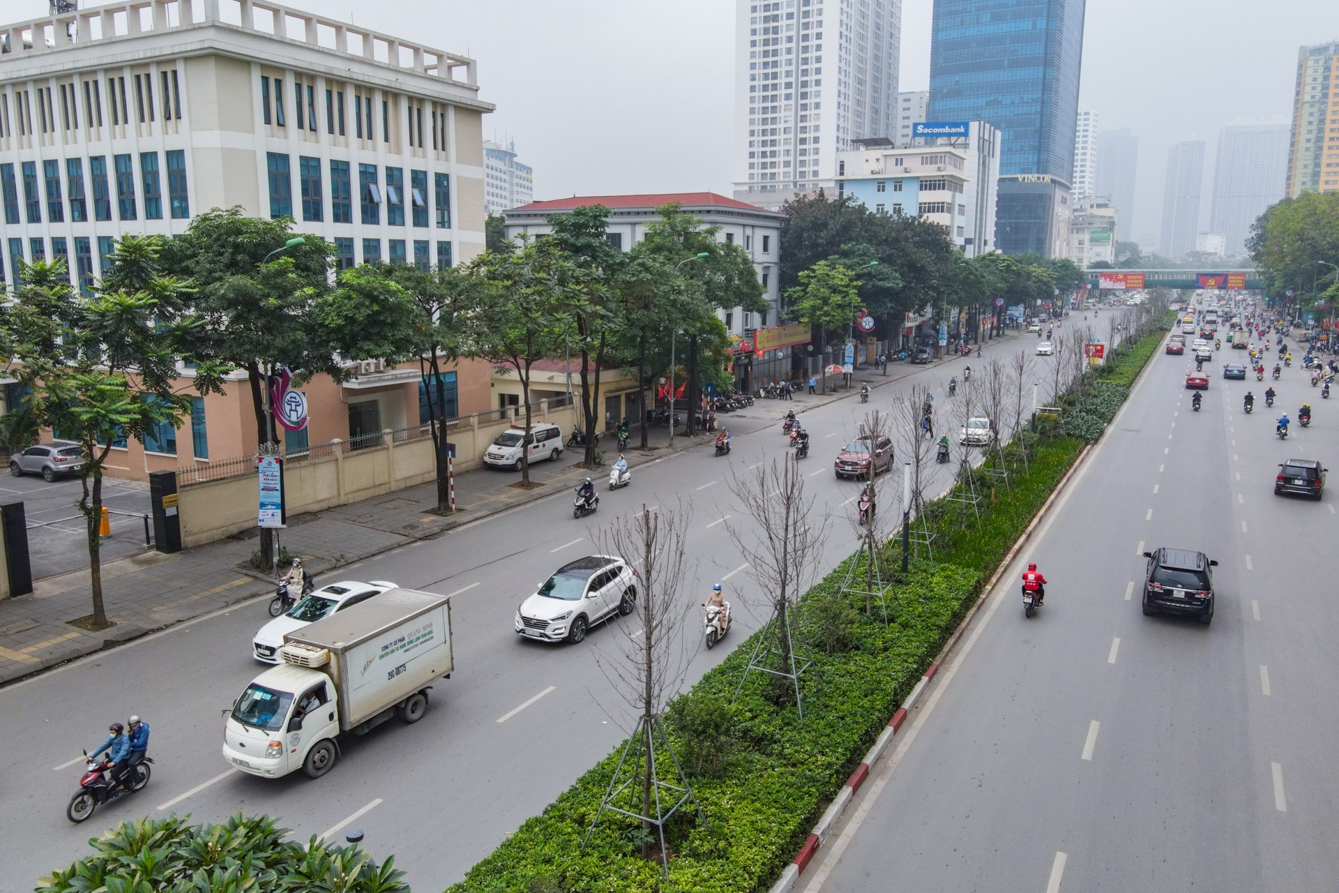 Cái chết của những cây phong lá đỏ ở Hà Nội - Ảnh 1.