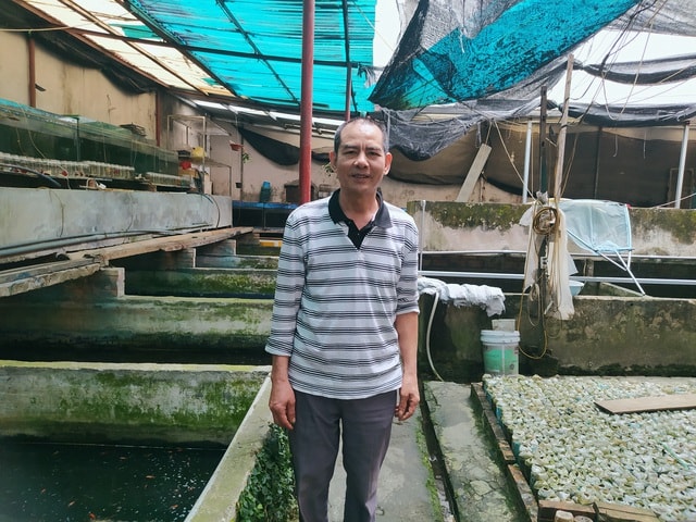 Nuôi cá trong chai, thu vài trăm triệu đồng/năm - Ảnh 1. Nuôi cá trong chai, thu vài trăm triệu đồng/năm - Ảnh 1.