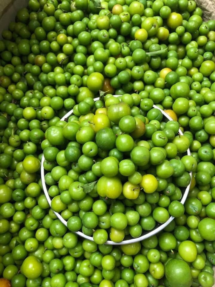 Mận cơm trượt giá còn 5.000 đồng/kg, dân mạng lại hô giải cứu - Ảnh 2.