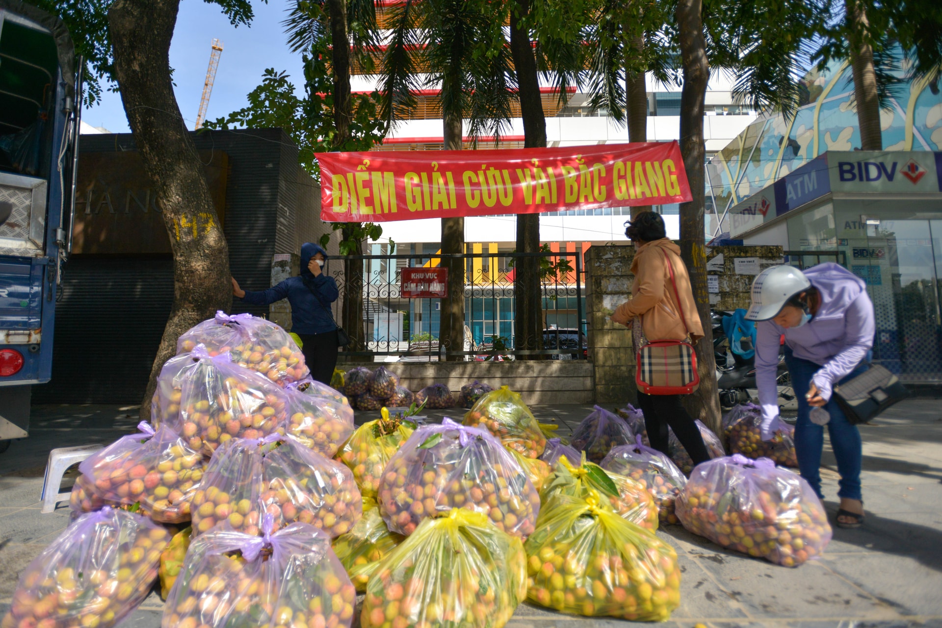 Giải cứu vải thiều Bắc Giang với giá 20.000 đồng/kg ở Hà Nội - Ảnh 1.