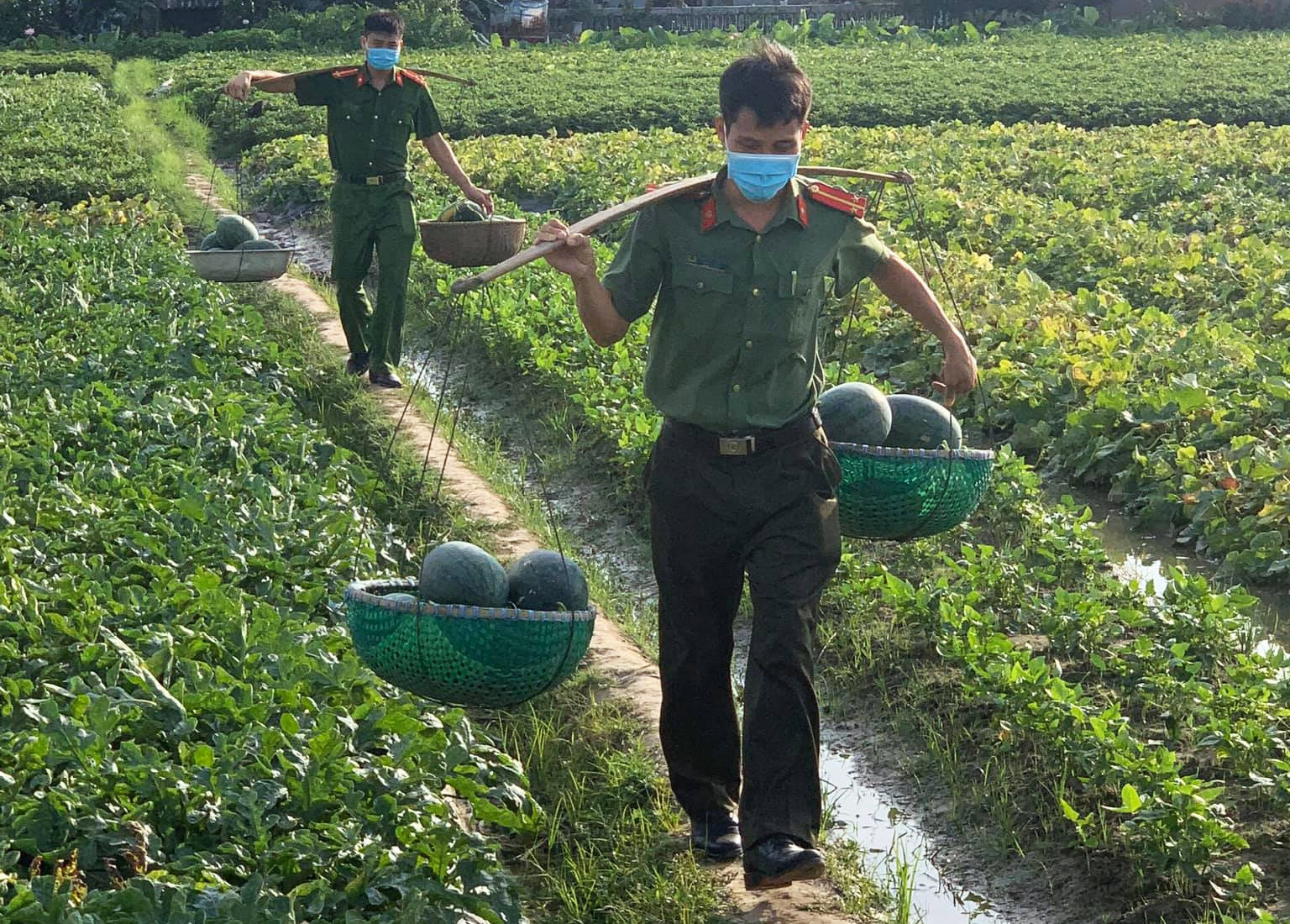 Công an bán dưa hấu giúp người dân vùng phong tỏa ở Bắc Giang - Ảnh 2.