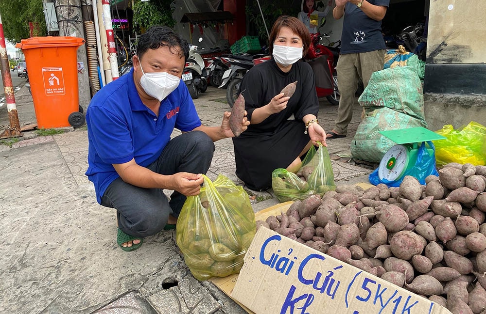 Khoai lang tím Nhật rớt thảm, nông dân miền Tây kêu cứu - Ảnh 7.