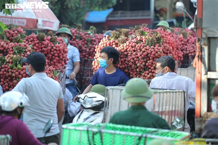 Ảnh: Ấn tượng hàng dài xe chở vải nối đuôi nhau đến điểm thu mua ở Bắc Giang - Ảnh 6.