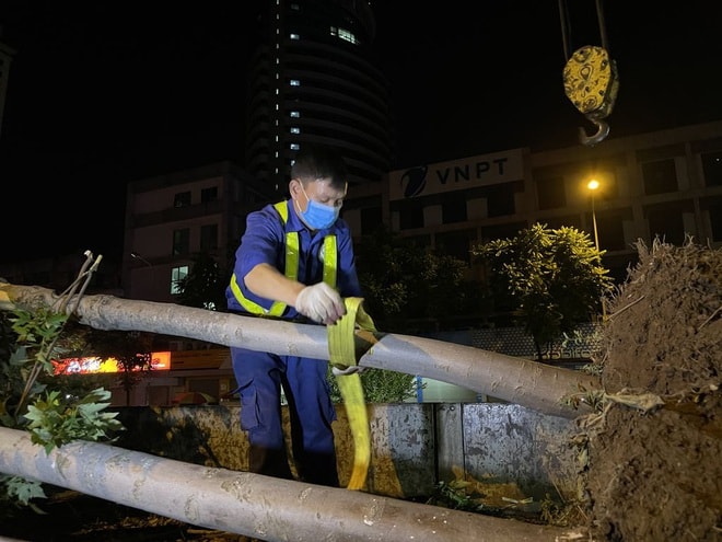 Hình ảnh công nhân xuyên đêm đánh chuyển hàng phong lá đỏ đi tránh nắng - Ảnh 10.