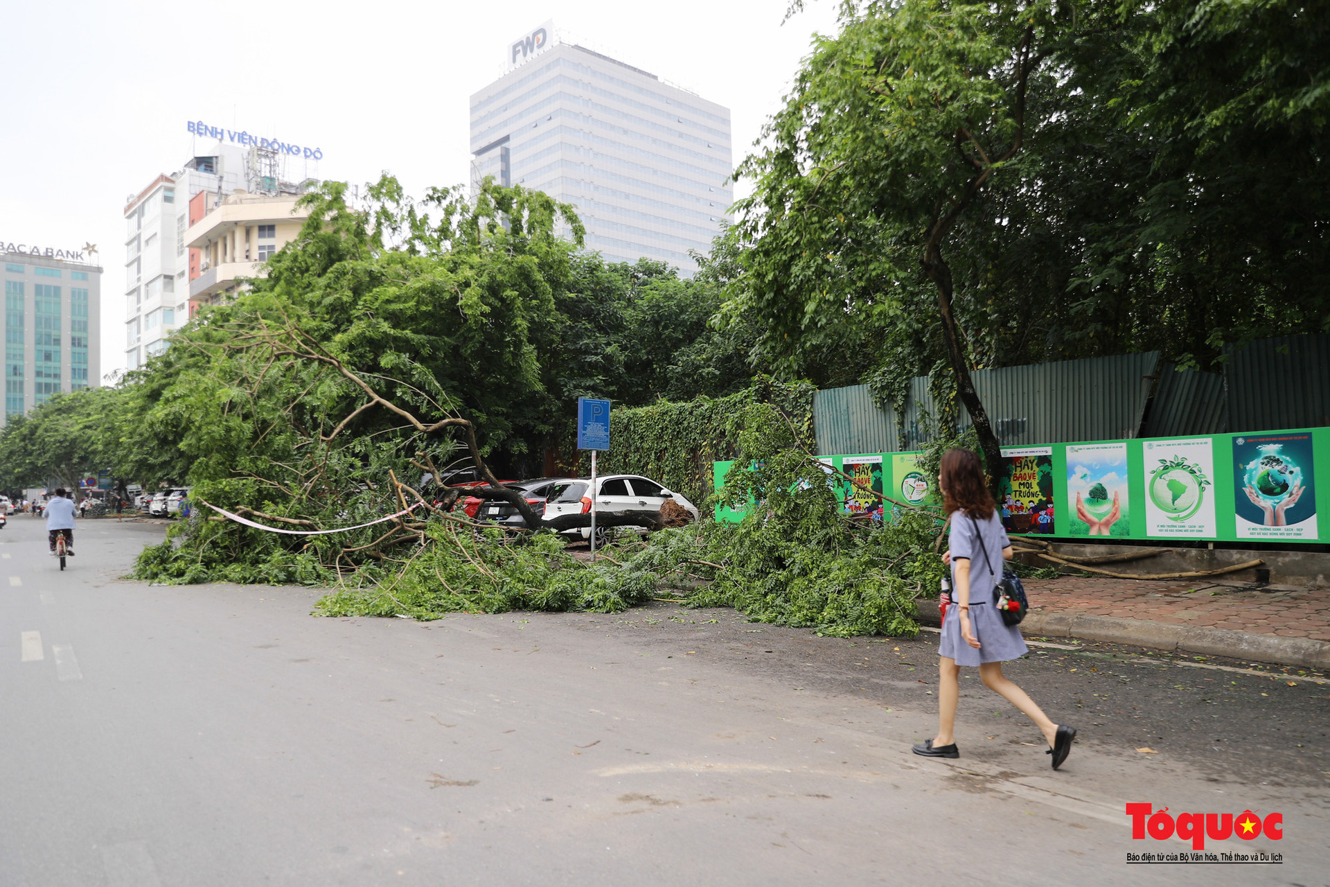 Hà Nội: Sau cơn mưa dông Cây xanh đổ rạp trên nhiều tuyến phố - Ảnh 14.