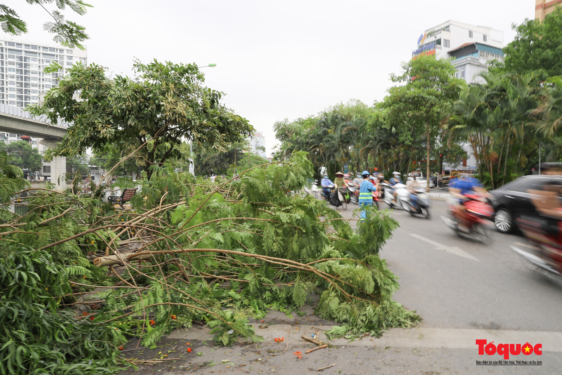 Hà Nội: Sau cơn mưa dông Cây xanh đổ rạp trên nhiều tuyến phố - Ảnh 8.
