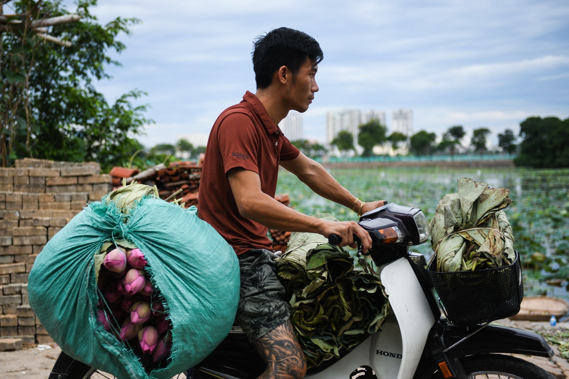 Chủ đầm sen hồ Tây bán hàng nghìn bông mỗi ngày - Ảnh 6.