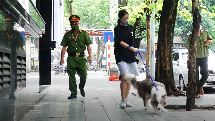 Dắt chó đi dạo khi Hà Hội đang giãn cách, cô gái bị phạt 2 triệu đồng - Ảnh 1.