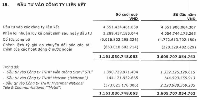 Vietttel Global (VGI) âm vốn gần 374 tỷ đồng khoản đầu tư vào Mytel Myanmar - Ảnh 2.