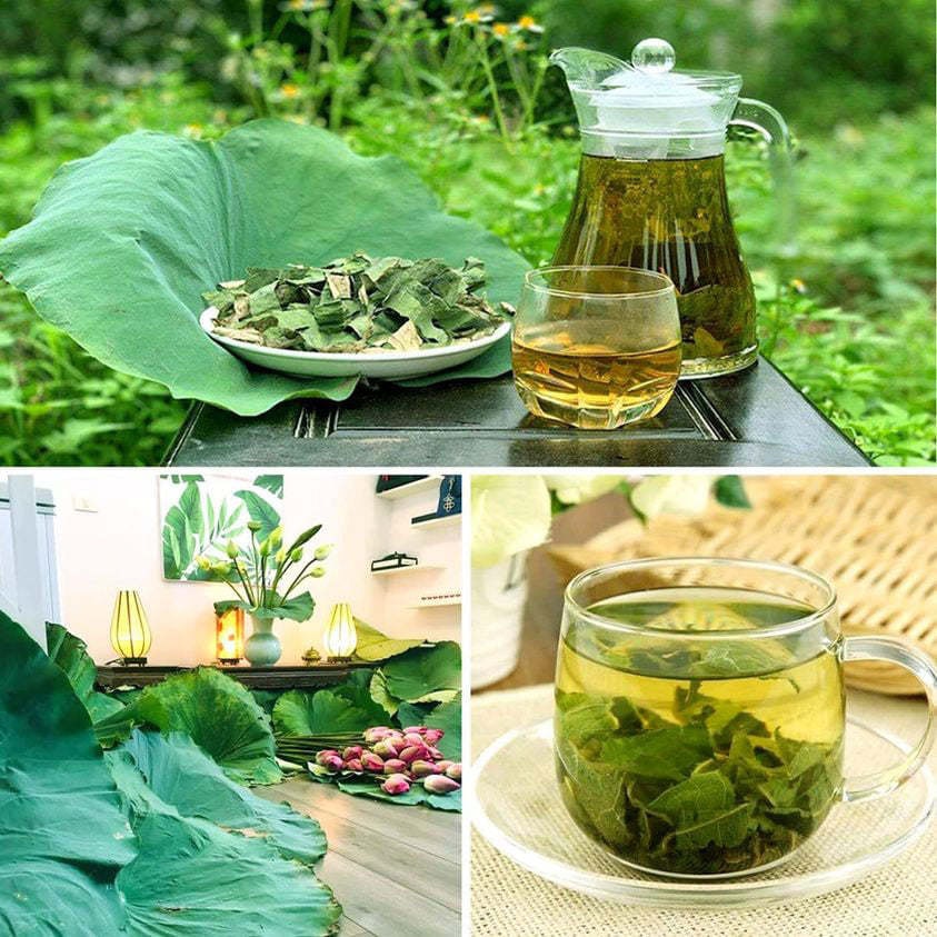 Thứ lá cuối mùa tàn lụi nơi đầm lầy, chế thành trà thu về trăm triệu - Ảnh 6. Thứ lá cuối mùa tàn lụi nơi đầm lầy, chế thành trà thu về trăm triệu - Ảnh 6.