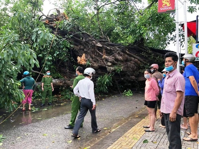 Cây đa cổ thụ 200 năm tuổi bật gốc, đè chết người đi đường - Ảnh 1.