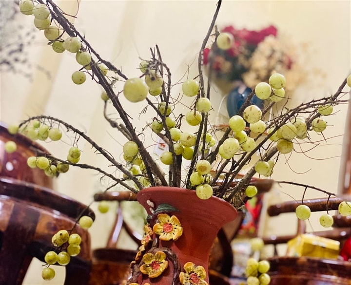 Cành me trĩu quả, các chị em đua nhau mua về cắm đón gió lạnh đầu đông, chơi xong lấy ra ngâm rượu - Ảnh 1.