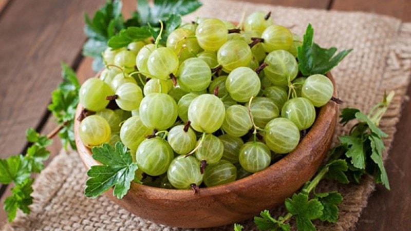 Cành me trĩu quả, các chị em đua nhau mua về cắm đón gió lạnh đầu đông, chơi xong lấy ra ngâm rượu - Ảnh 4.