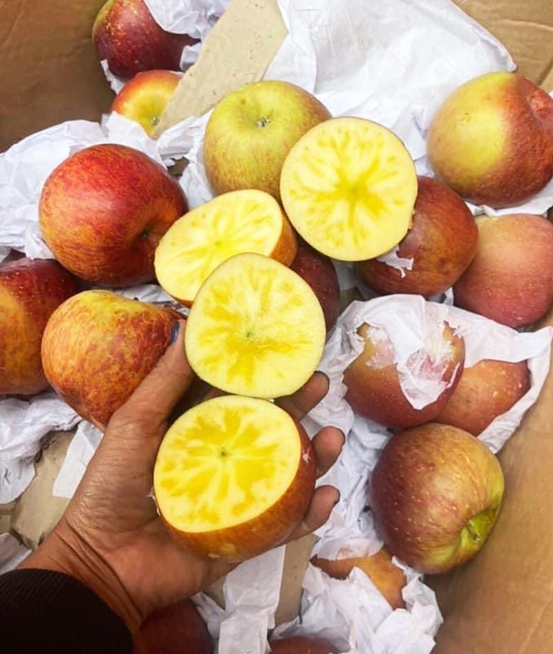 Quả táo cùng tên: Hàng Nhật 1,5 triệu/kg, đồ Tàu đổ đống rẻ như rau - Ảnh 5.