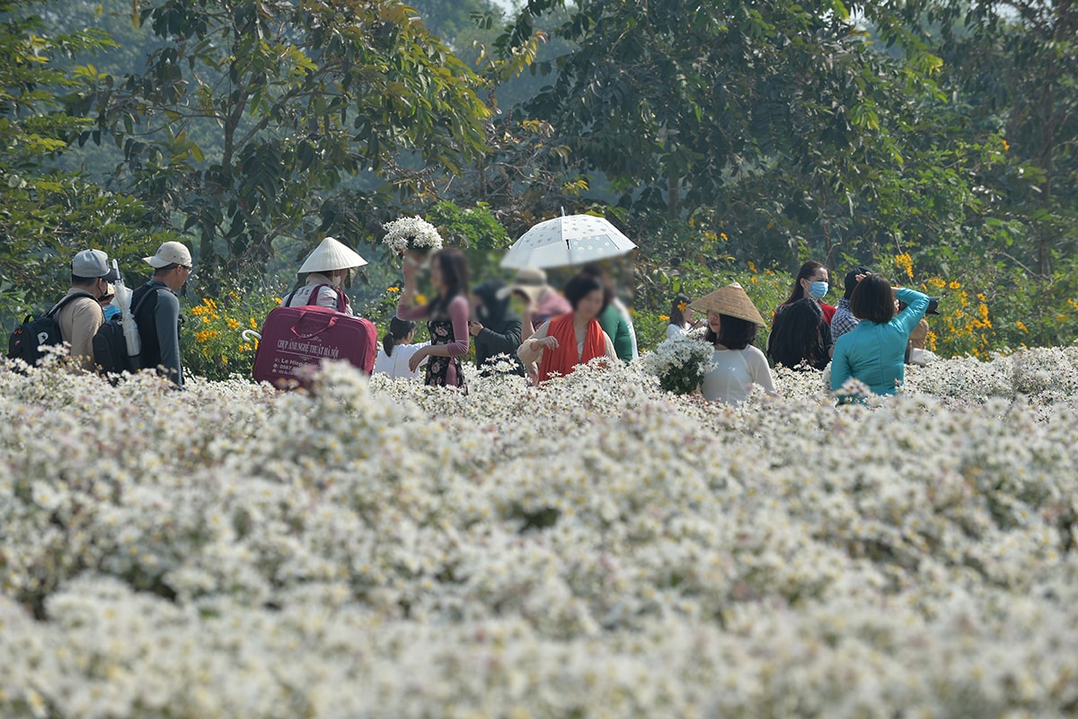 Kéo nhau đi chụp ảnh đông như chảy hội bất chấp ca nhiễm COVID-19 đang tăng cao tại Hà Nội - Ảnh 4.