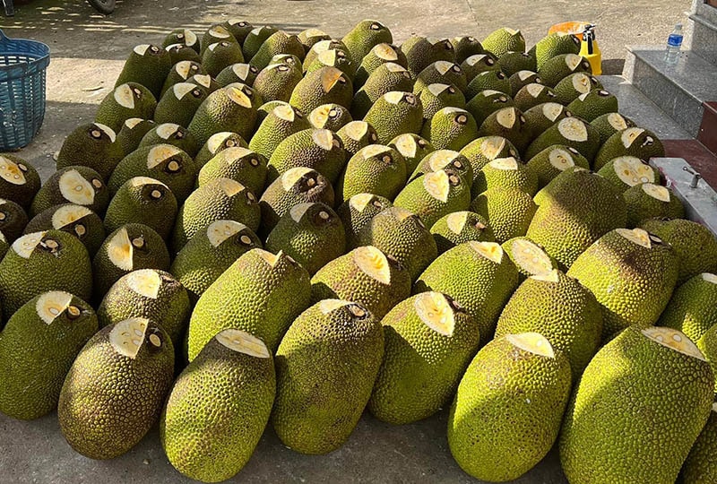 Mít Thái từ miền Nam đổ ra Hà Nội, giá rẻ chưa từng có - Ảnh 3.