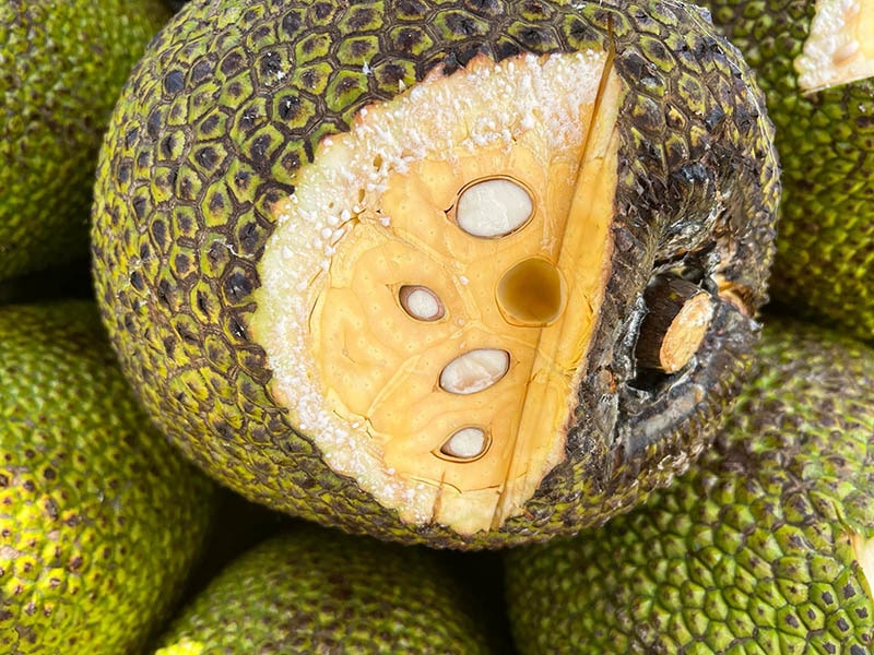 Mít Thái từ miền Nam đổ ra Hà Nội, giá rẻ chưa từng có - Ảnh 1.