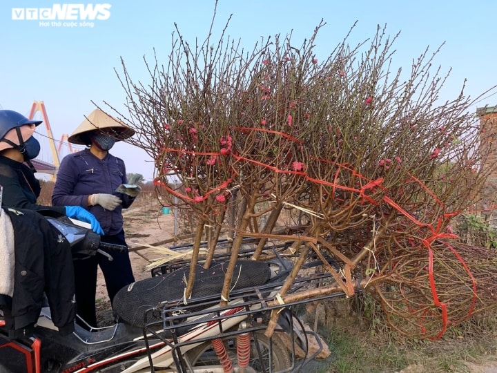 Đào Nhật Tân lần đầu xuống phố Hà Nội, chợ hoa Quảng Bá rực sắc xuân - Ảnh 16.