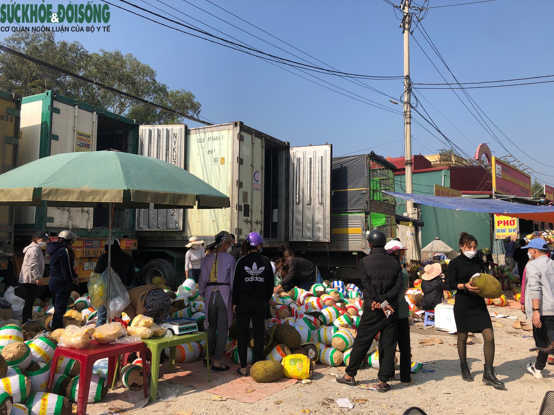 Trăm nghìn tấn trái cây ùn ứ cửa khẩu, mít Thái quay đầu chờ “giải cứu” - Ảnh 8. Trăm nghìn tấn trái cây ùn ứ cửa khẩu, mít Thái quay đầu chờ “giải cứu” - Ảnh 8.