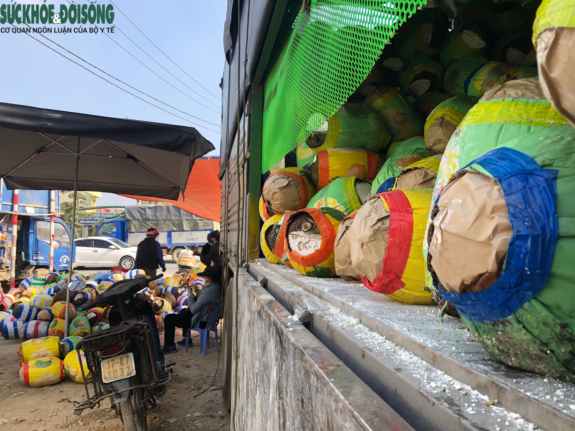 Trăm nghìn tấn trái cây ùn ứ cửa khẩu, mít Thái quay đầu chờ “giải cứu” - Ảnh 10. Trăm nghìn tấn trái cây ùn ứ cửa khẩu, mít Thái quay đầu chờ “giải cứu” - Ảnh 10.