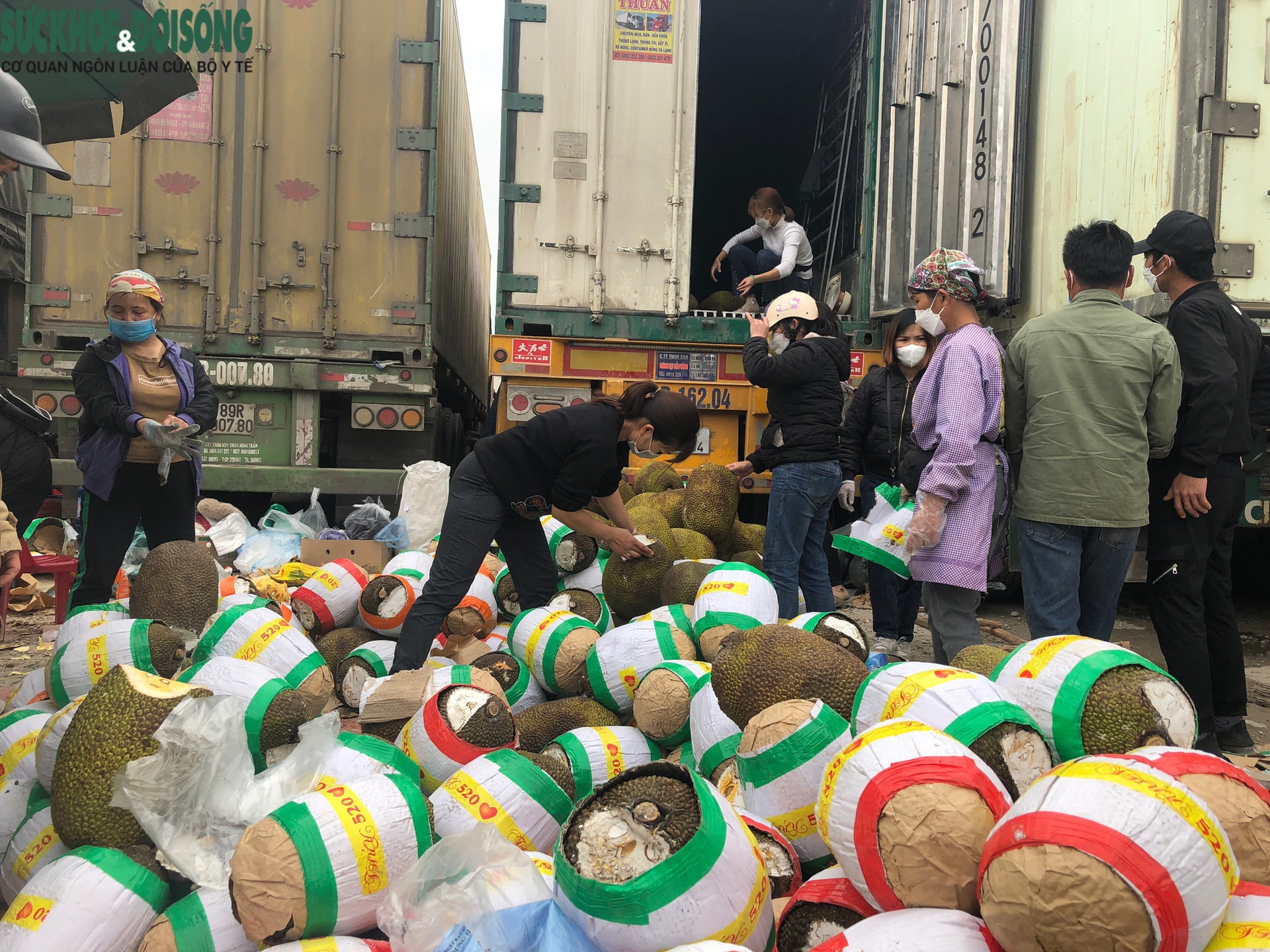 Trăm nghìn tấn trái cây ùn ứ cửa khẩu, mít Thái quay đầu chờ “giải cứu” - Ảnh 9. Trăm nghìn tấn trái cây ùn ứ cửa khẩu, mít Thái quay đầu chờ “giải cứu” - Ảnh 9.