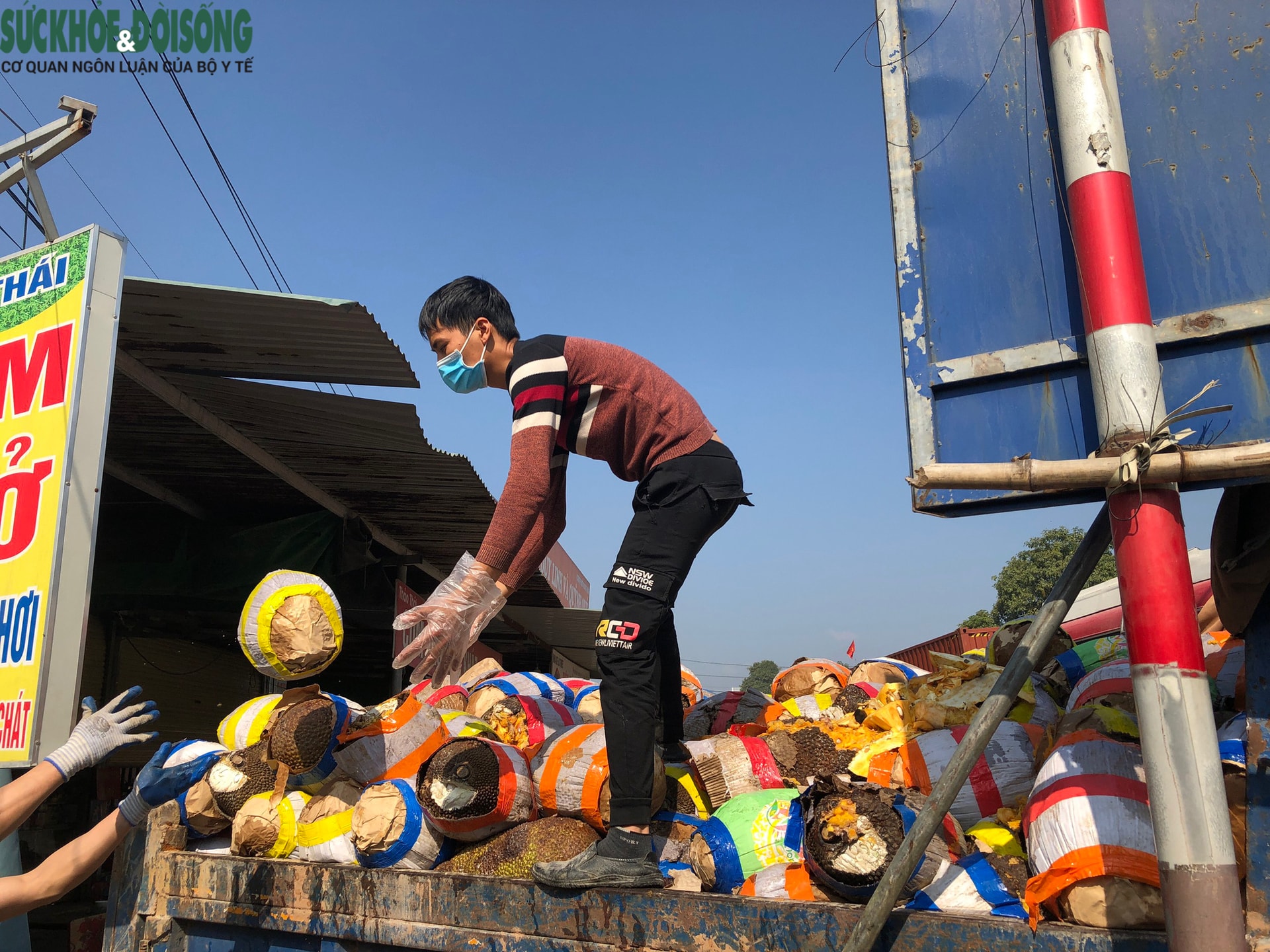 Trăm nghìn tấn trái cây ùn ứ cửa khẩu, mít Thái quay đầu chờ “giải cứu” - Ảnh 3. Trăm nghìn tấn trái cây ùn ứ cửa khẩu, mít Thái quay đầu chờ “giải cứu” - Ảnh 3.