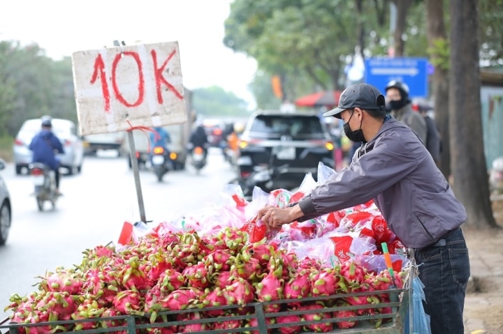 Đến lượt thanh long tắc biên được bán 'xả hàng', có nơi giá 3.500 đồng/kg - Ảnh 2.