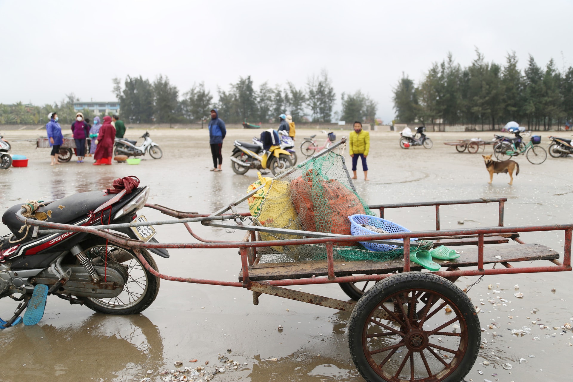 Ra biển mùa gió chướng, người dân Hà Tĩnh hứng 