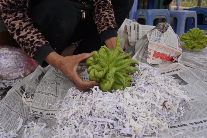 Đại gia mạnh tay mua cả vườn loài quả ‘nghìn tay’ giá đắt để trưng Tết - Ảnh 1.