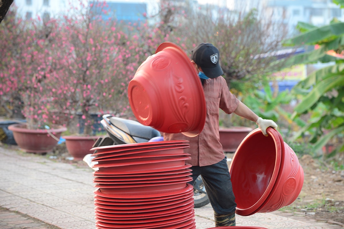 Nhộn nhịp mua bán tại làng đào nổi tiếng của Hà Nội, chỉ đứng sau thương hiệu đào Nhật Tân - Ảnh 13.