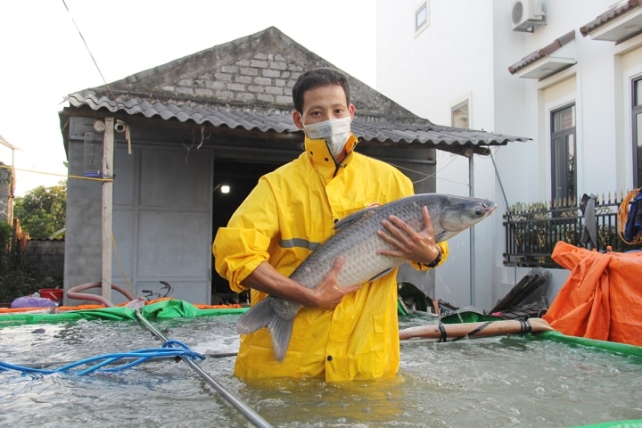 'Đập hộp' đặc sản cá kho niêu giá tiền triệu hút hàng ngày Tết - Ảnh 4.