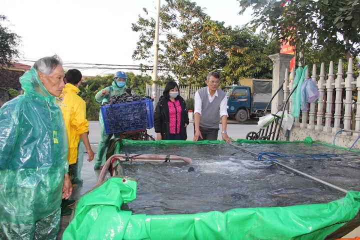 'Đập hộp' đặc sản cá kho niêu giá tiền triệu hút hàng ngày Tết - Ảnh 8.