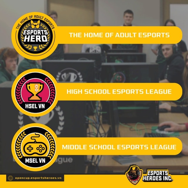Tổ chức quốc tế Esports học đường có mặt tại Việt Nam - Ảnh 1.