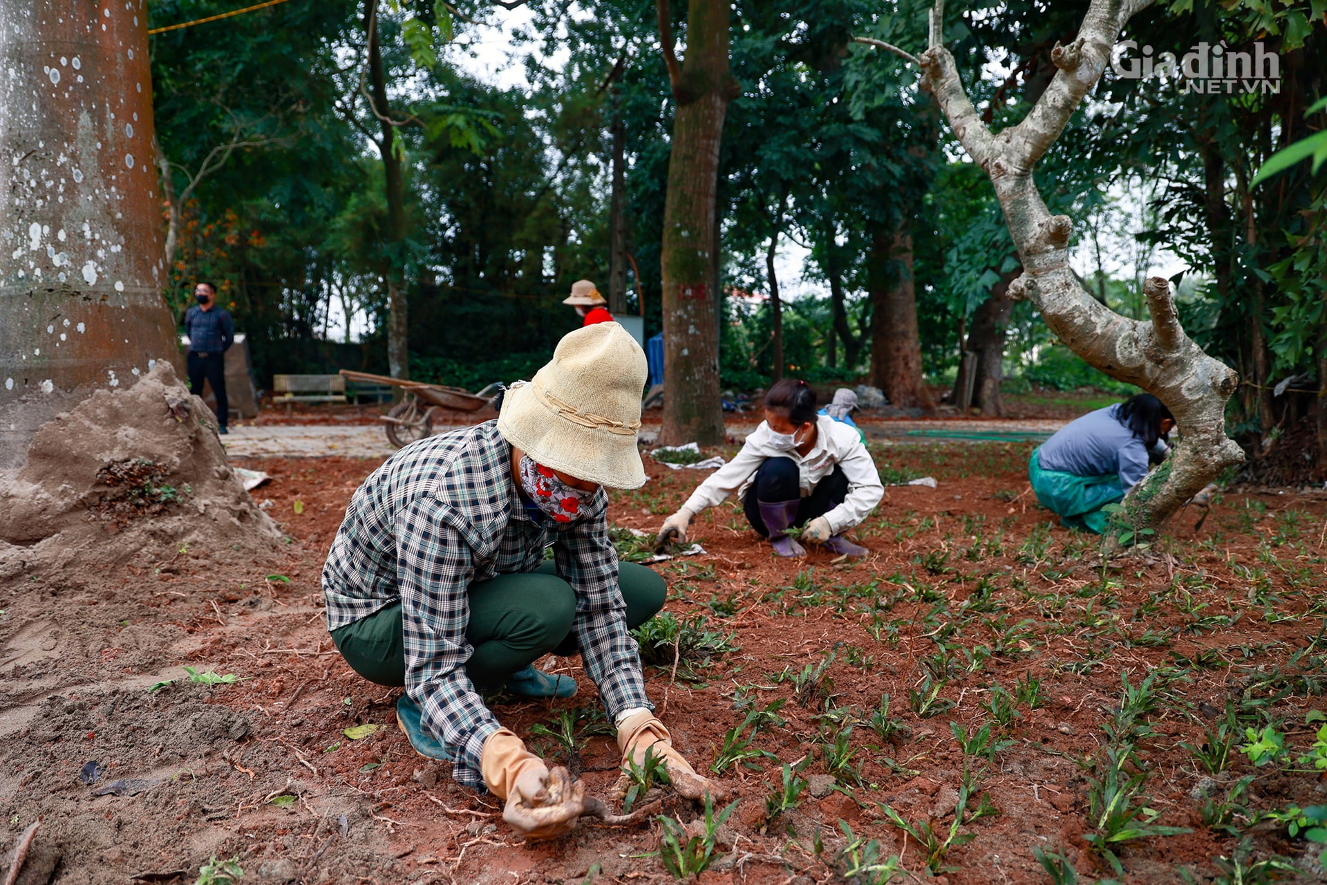 Đẹp ngỡ ngàng tuyến phố đi bộ mới của Hà Nội bao quanh Thành cổ gần 200 tuổi - Ảnh 6.