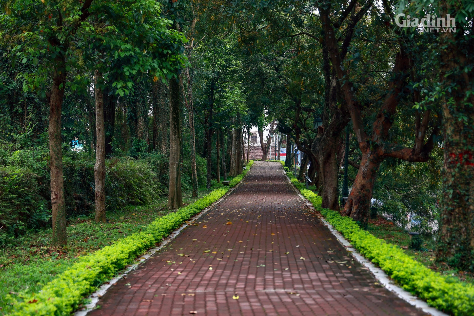 Đẹp ngỡ ngàng tuyến phố đi bộ mới của Hà Nội bao quanh Thành cổ gần 200 tuổi - Ảnh 2.